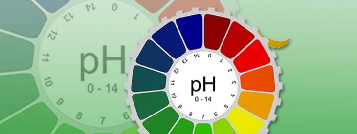 The Importance of PH Balance in Your Body